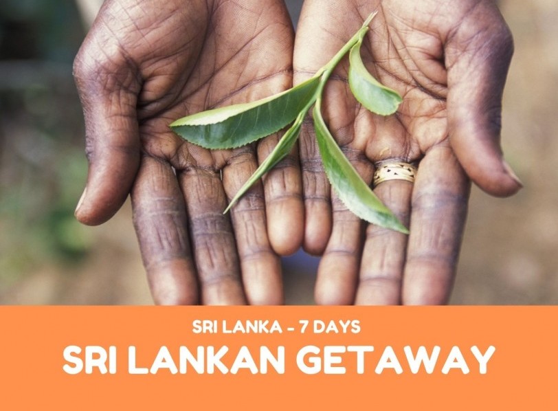 A Sri Lankan Getaway 7 Days